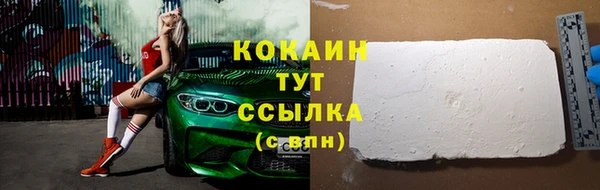 apvp Белокуриха