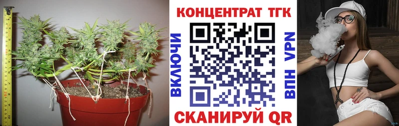 ТГК концентрат  Дигора 