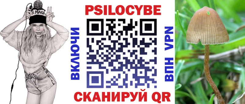 хочу наркоту  blacksprut ONION  Псилоцибиновые грибы мицелий  Дигора 
